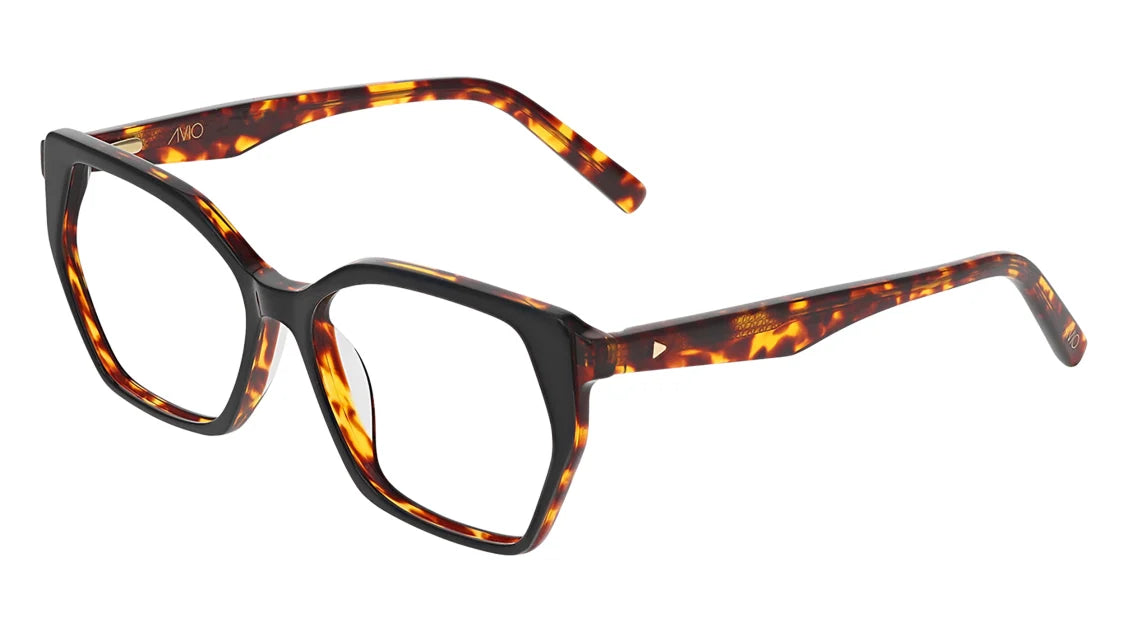 Avio Frame 016