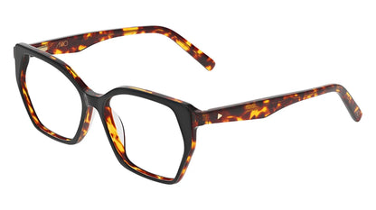 Avio Frame 016