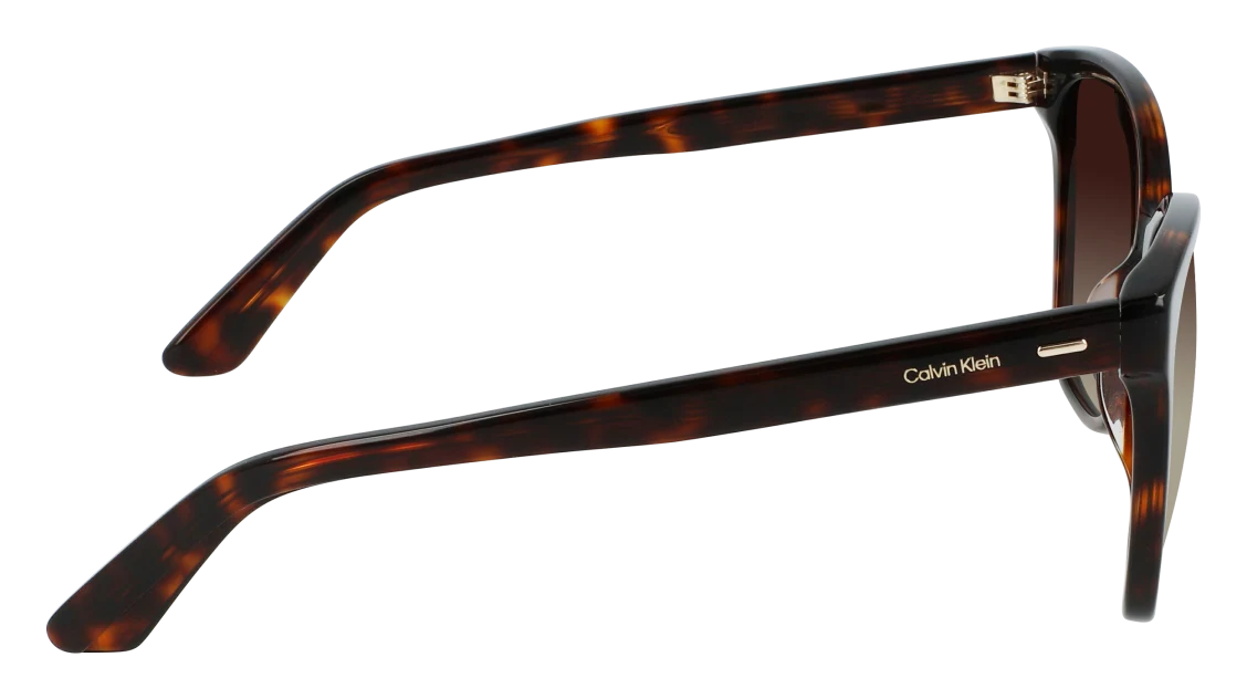Calvin Klein CK21529S