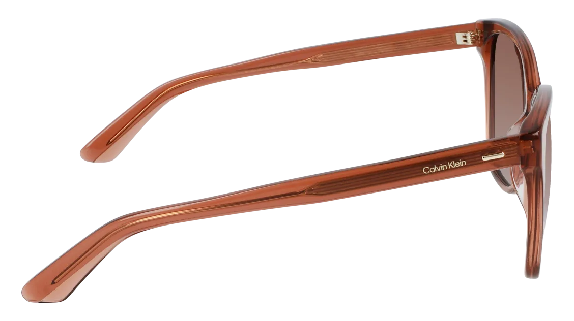 Calvin Klein CK21529S