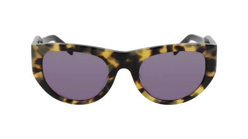 DKNY DK550S