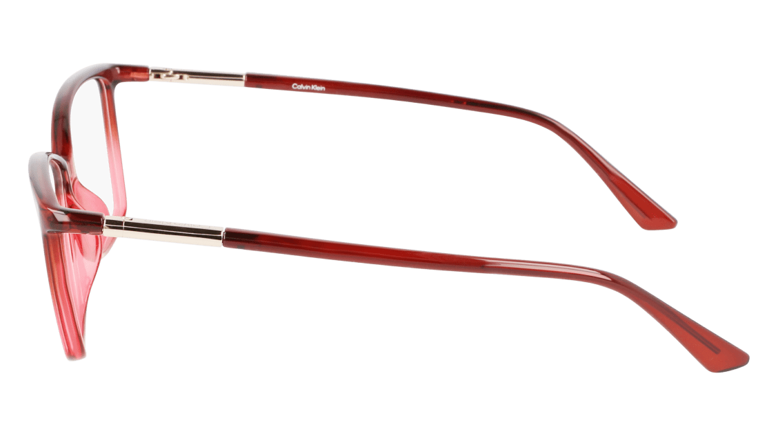 Calvin Klein CK21524